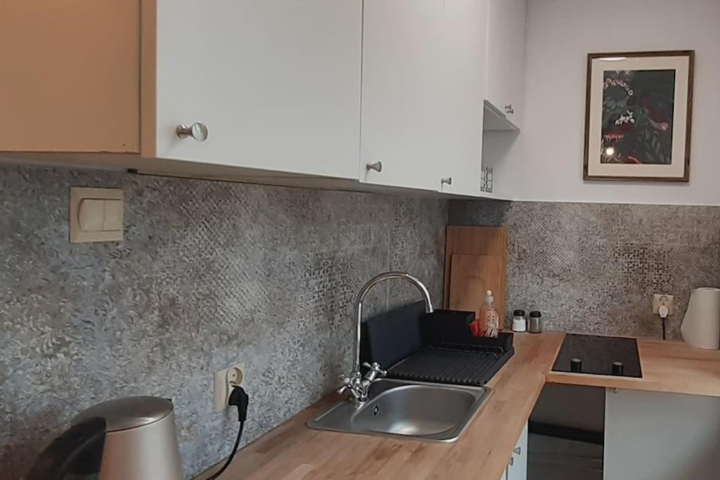 Lemuria Apartament Szkolna Centrum เลกนิตซา ภายนอก รูปภาพ